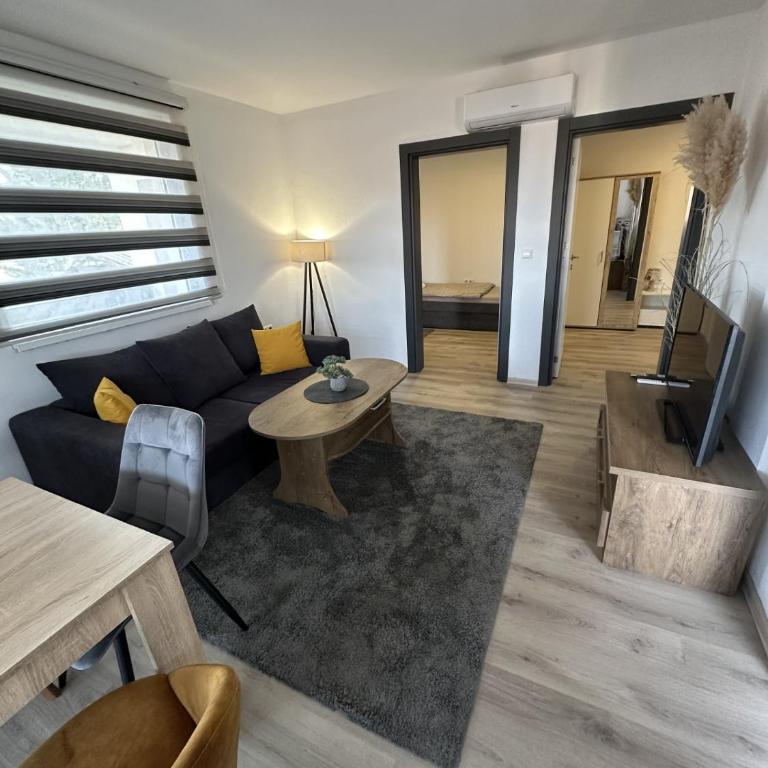 Ammirevole Ravne Apartments - Apartman sa Balkonom - 8