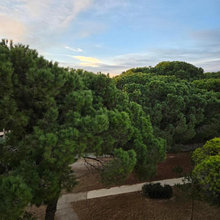 Appartement paisible à 300m de la plage - Apartment mit 2 Schlafzimmern - 17