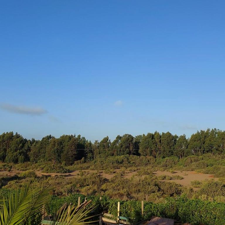 Tinajas y Depto en Quiriyuca - One-Bedroom Apartment with Terrace - 15