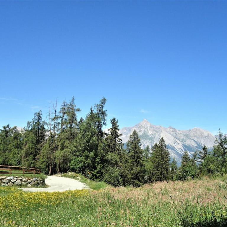 Flat in Veysonnaz with Ski-in Ski-out Access - Appartamento con 3 Camere da Letto - 29