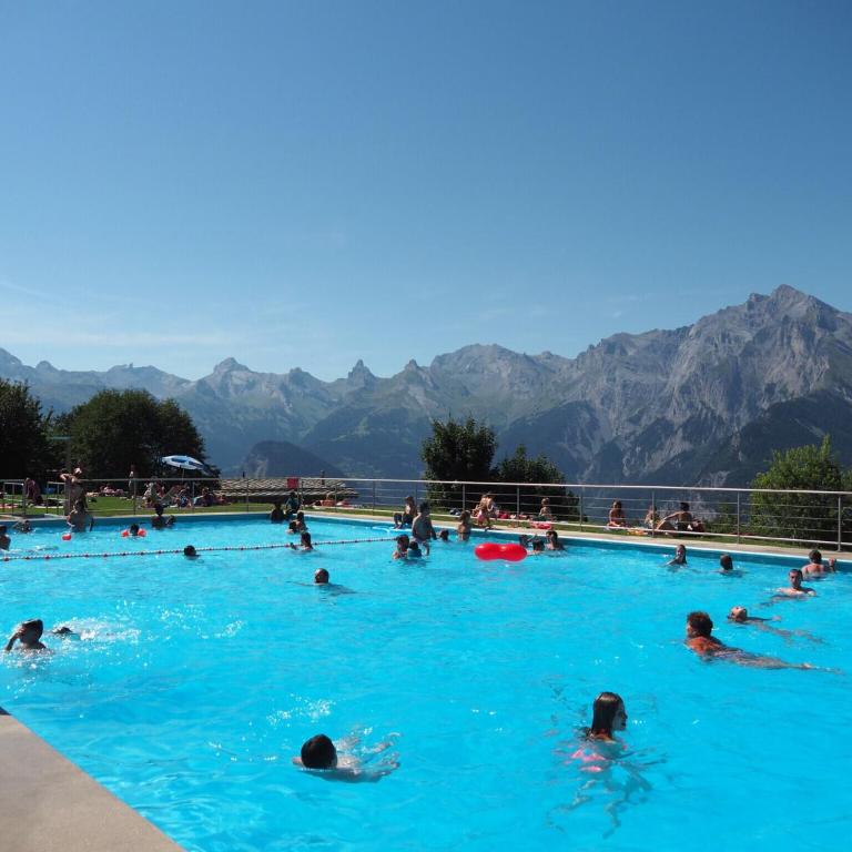 Flat in Nendaz near Spa des Bisses - Appartement 1 Chambre - 6