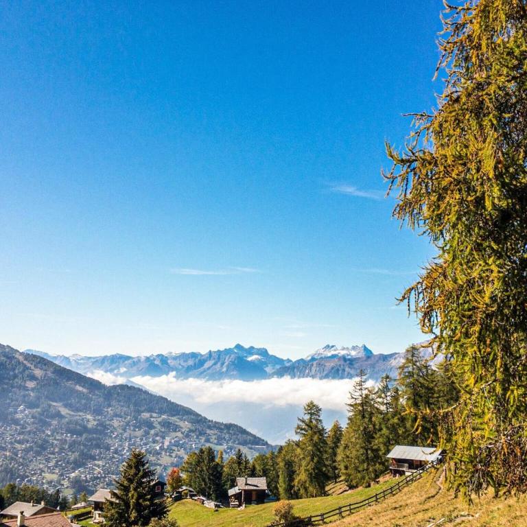 Flat in Nendaz near Spa des Bisses - Appartement 1 Chambre - 24