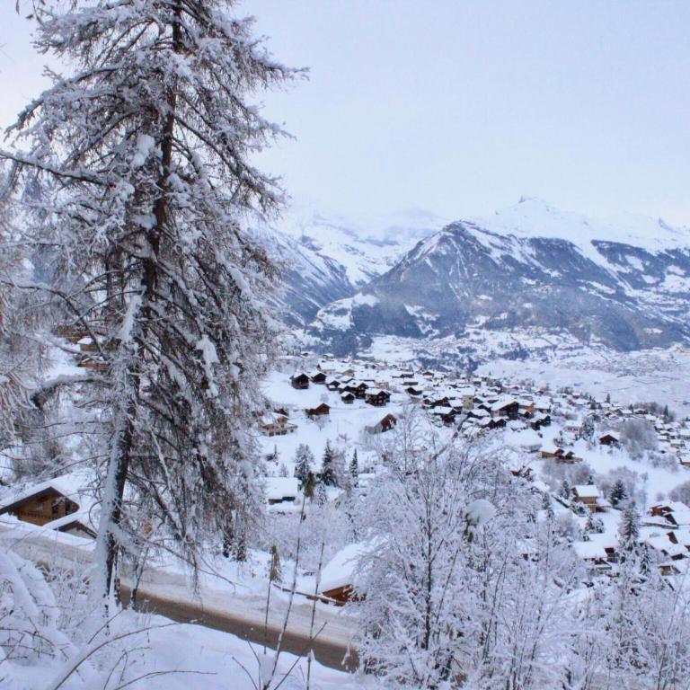 Flat in Nendaz with Ski-In Ski-Out Access - Apartment mit 2 Schlafzimmern - 29