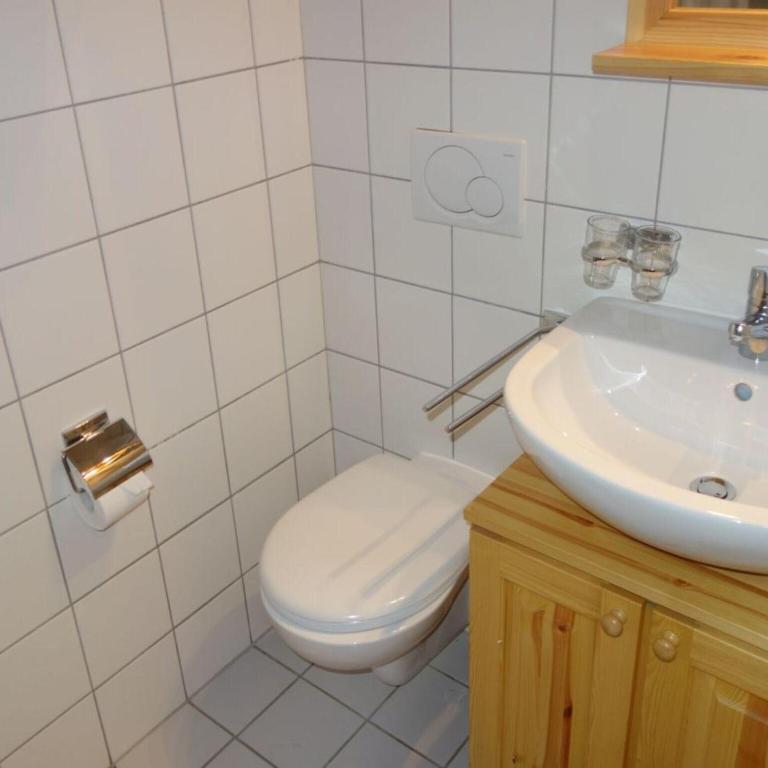 Flat in Nendaz near Spa des Bisses - Appartement 1 Chambre - 21