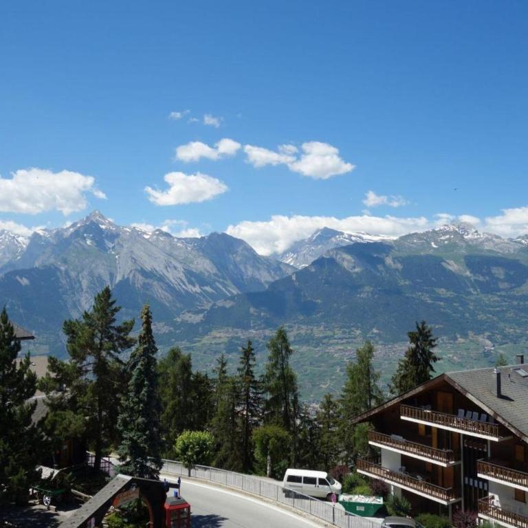 Centrally-located apartment in Veysonnaz - Appartamento con 1 Camera da Letto - 17