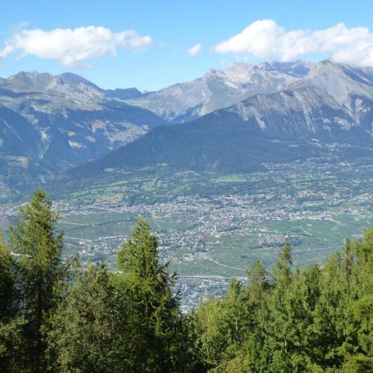 Centrally-located apartment in Veysonnaz - Appartamento con 1 Camera da Letto - 11