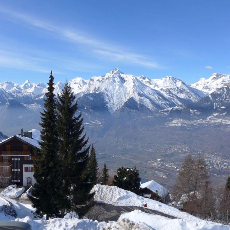2-room apartment in Veysonnaz - Appartement 1 Chambre - 22