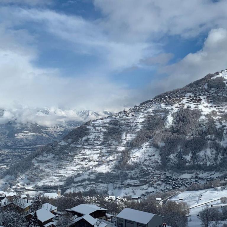2-room apartment in Veysonnaz - Appartement 1 Chambre - 21