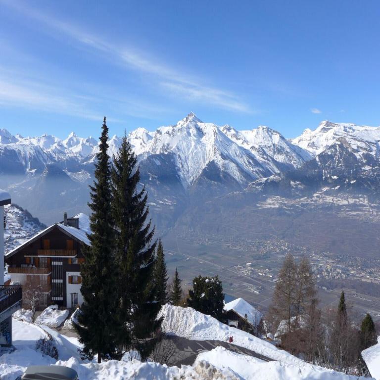 2-room apartment in Veysonnaz - Appartement 1 Chambre - 19