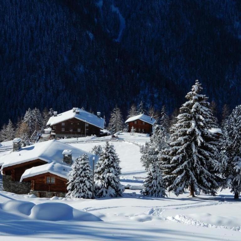 Chalet Nendaz Ski-In Ski-Out Prarion Slopes - Apartamento de 2 dormitorios - 29