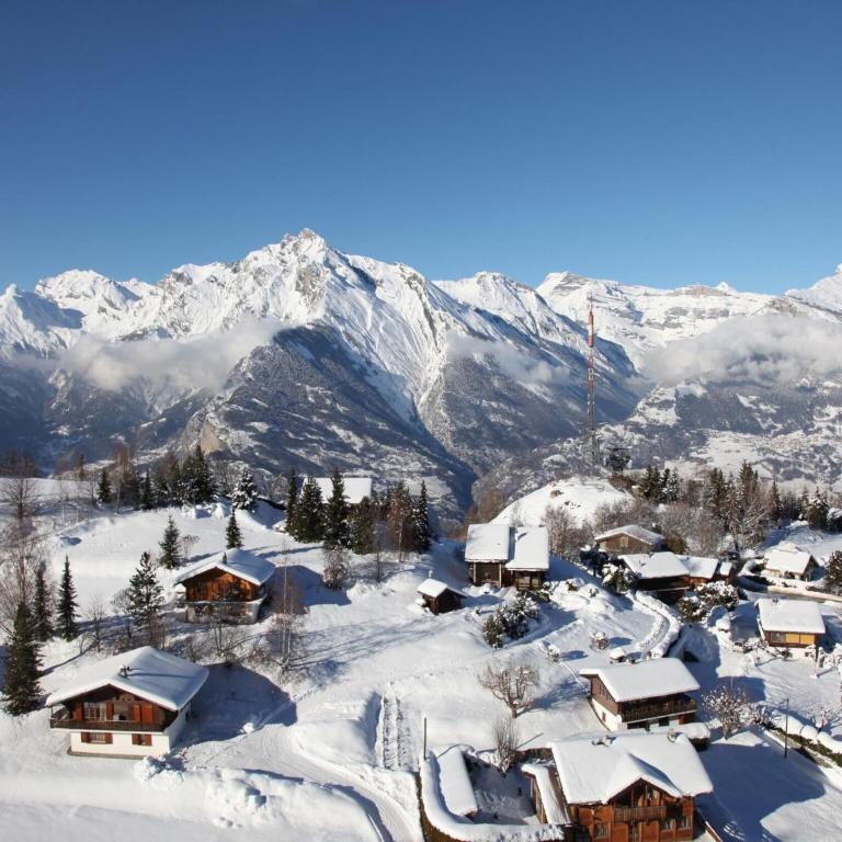 Apartment in Nendaz with Ski-In Ski-Out - Appartement 2 Chambres - 20
