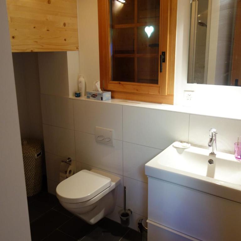 Chalet in Les Masses with ski storage - Superior Chalet - 24