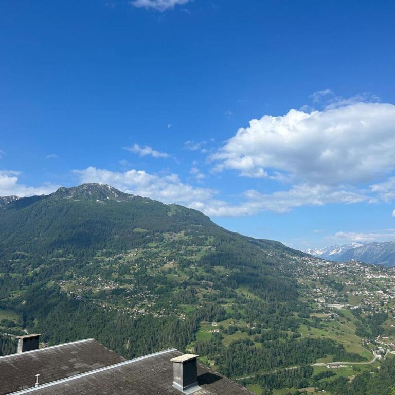 Gracious apartment in Veysonnaz - Appartamento con 2 Camere da Letto - 18