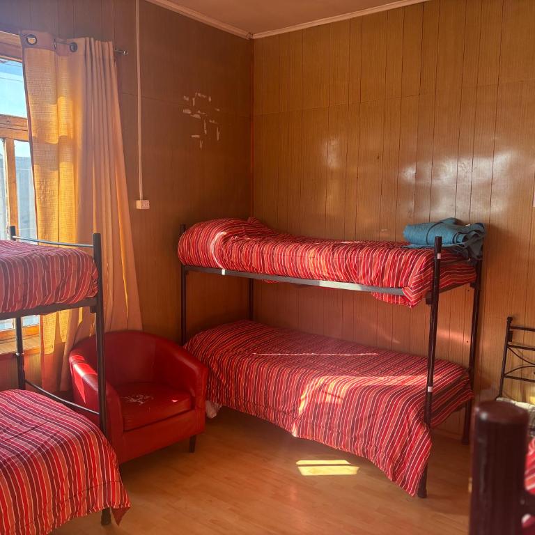 Hostel La Morenita - Bed in 8-Bed Mixed Dormitory Room - 2