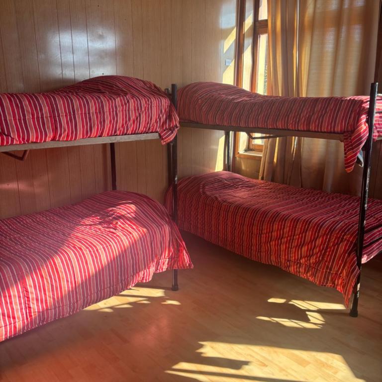 Hostel La Morenita - Bed in 8-Bed Mixed Dormitory Room - 1