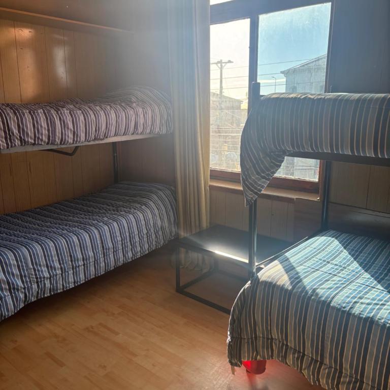 Hostel La Morenita - Bed in 8-Bed Mixed Dormitory Room - 2