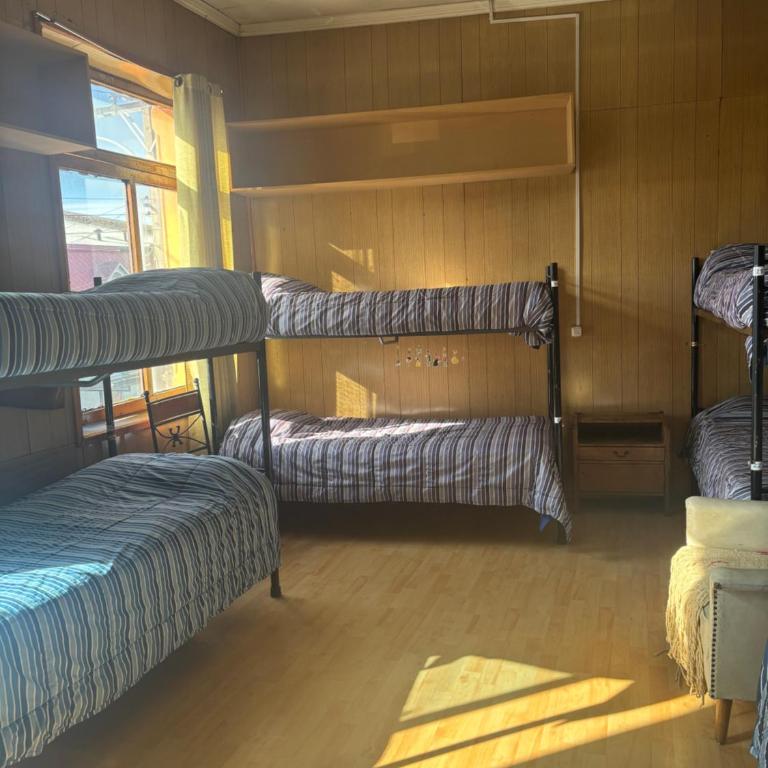 Hostel La Morenita - Bed in 8-Bed Mixed Dormitory Room - 1