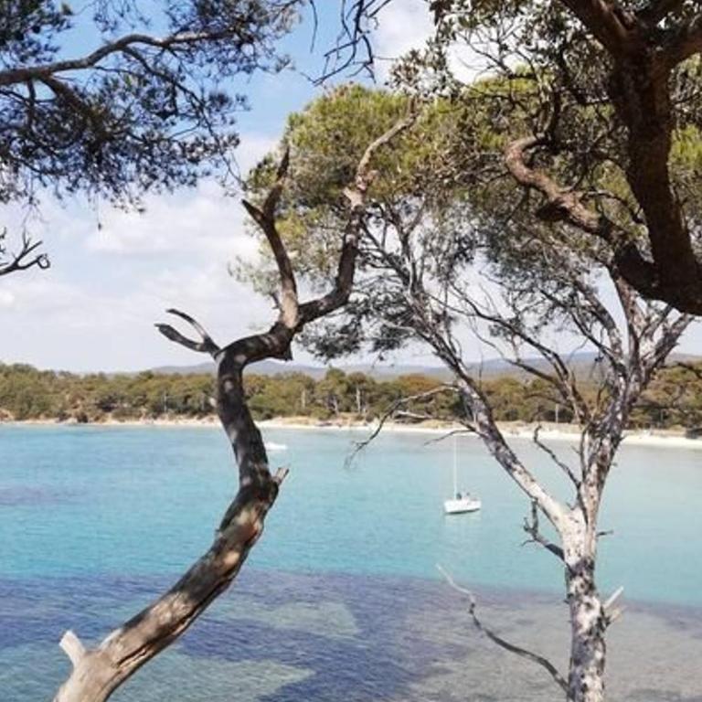 Maison climatisée avec grand jardin, proche plage et commerces - FR-1-610-102 - Casa - 4