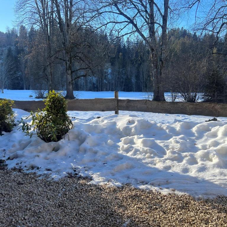 Chalet in Ellmau near Ski Slopes - Superior Chalet - 35