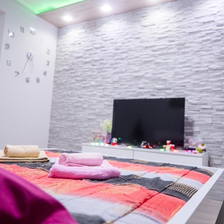 Apartmani Đorđević - Studio sa Terasom - 2