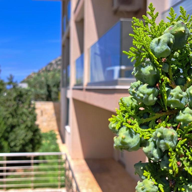 Your Home Montenegro - Apartman s 1 Spavaćom Sobom i Balkonom - 9