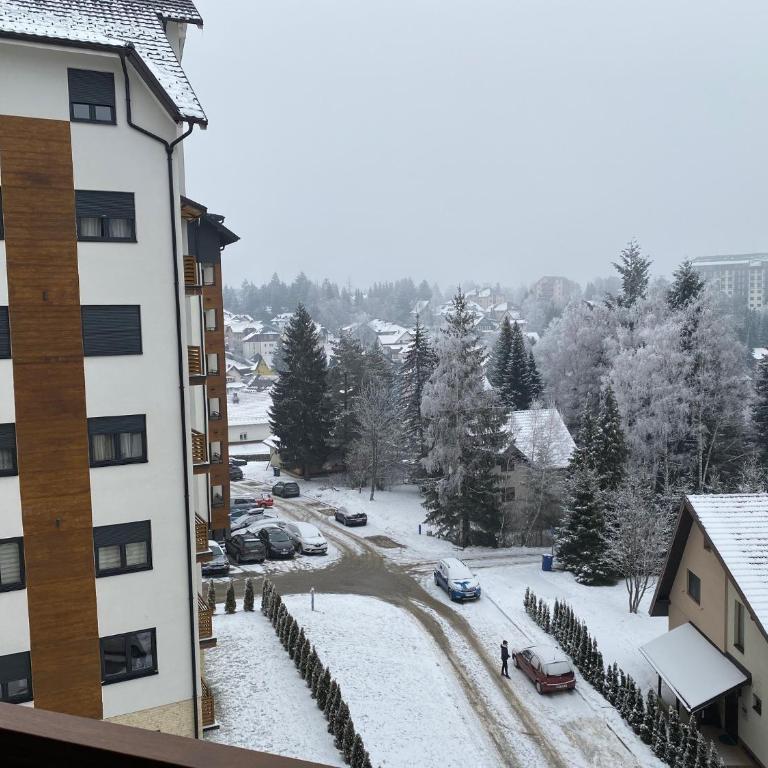 Zlatibor Mountain Wellness&Spa - Apartman sa 1 Spavaćom Sobom - 3