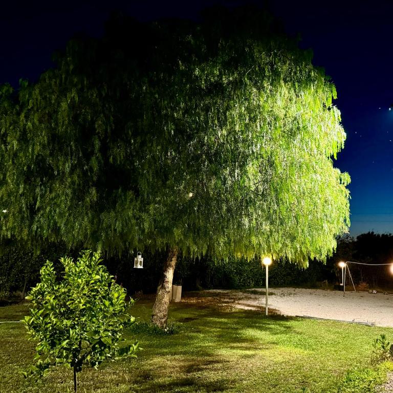 Villa Valentino Pompeji - Appartamento con 2 Camere da Letto - 44