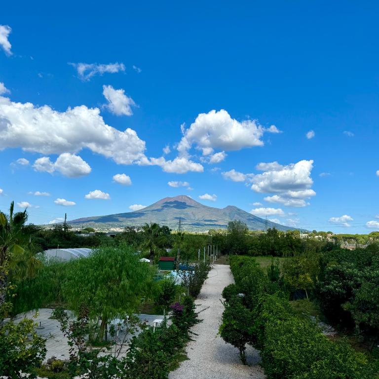 Villa Valentino Pompeji - Appartamento con 2 Camere da Letto - 4