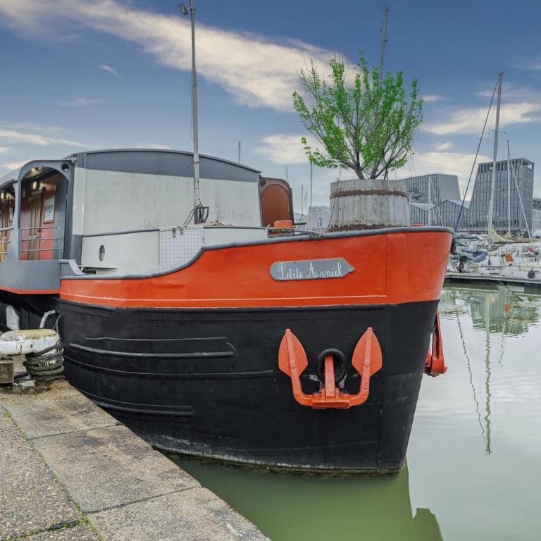 Superbe Péniche En Centre Ville - Appartement avec Balcon - 1