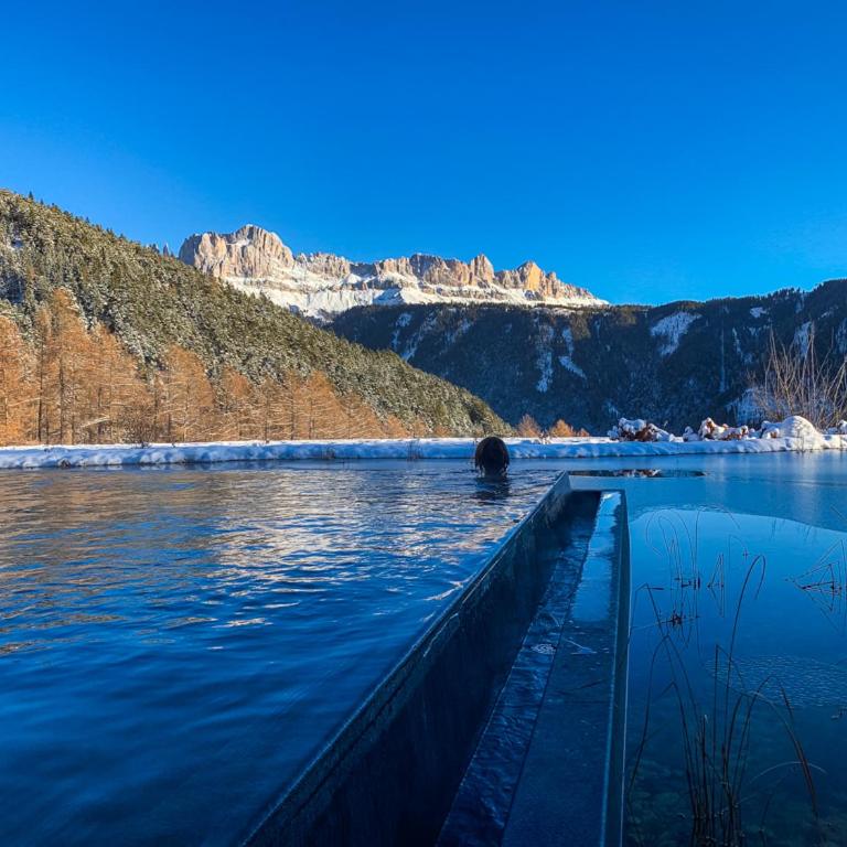 Ansitz Velseck-Residence Hotel - Suite Luxury con Vista Montagna - 11