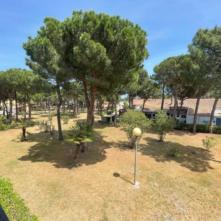 Appartement deux pièces cabine- Argelès sur mer AR155-024 - Appartamento - 17