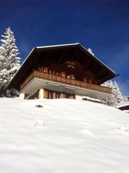 Chalet Choucas - Chalet - 16
