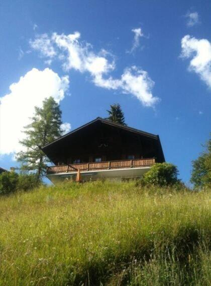 Chalet Choucas - Chalet - 13