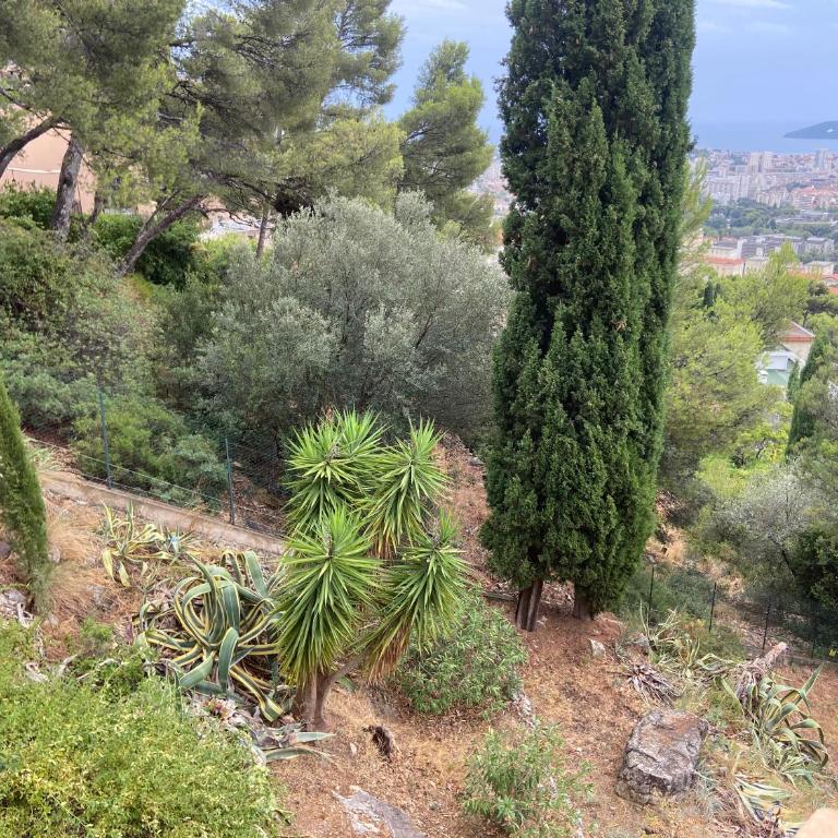 Bas de villa, vue mer, terrasse, clim, piscine - One-Bedroom Apartment - 15