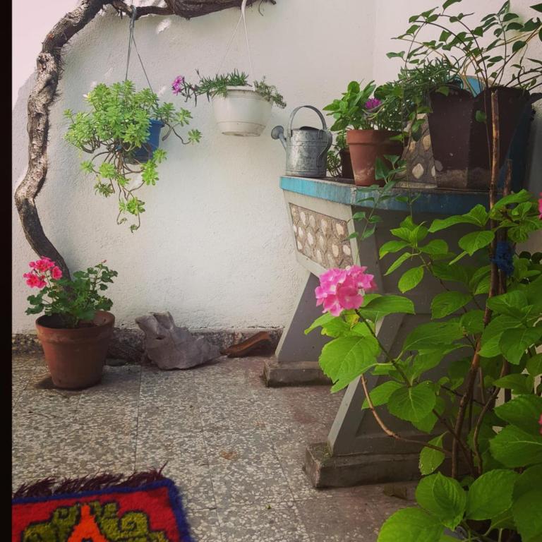 Casa mia - One-Bedroom House - 23