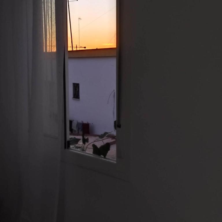 Apartamento 1 dormitorio - Apartamento de 1 dormitorio - 12