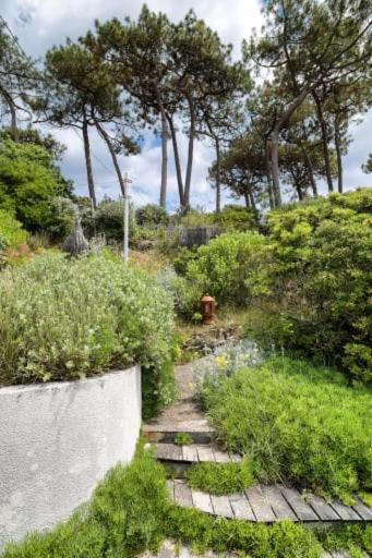 Majestueuse villa en première ligne au Pyla avec accès privé à la plage - Villa - 37