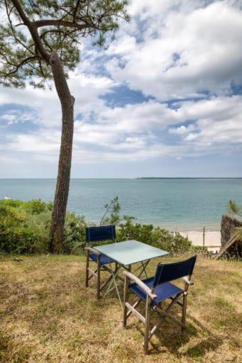Majestueuse villa en première ligne au Pyla avec accès privé à la plage - Villa - 35
