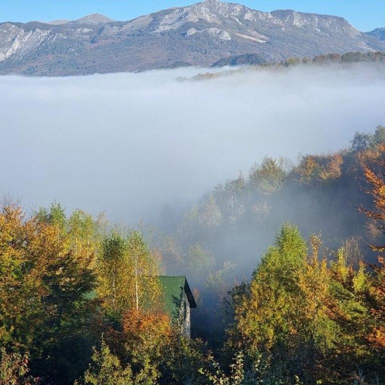 Best View Kolasin - Vila - 31