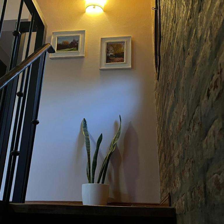Casa Las Cortaderas - Casa de 3 dormitorios - 21