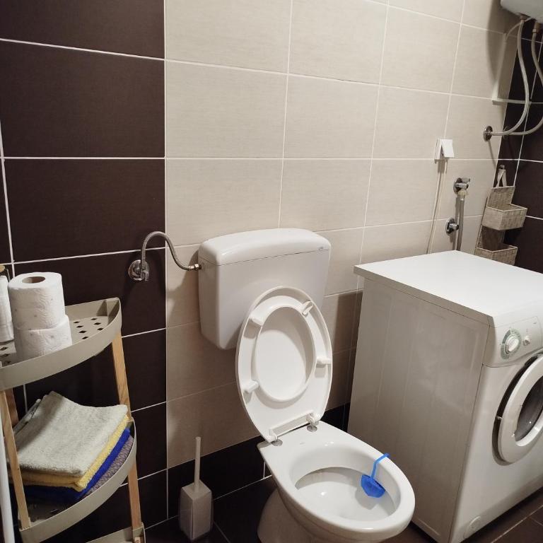 Apartman Pivasevic - Apartman sa 1 Spavaćom Sobom - 16