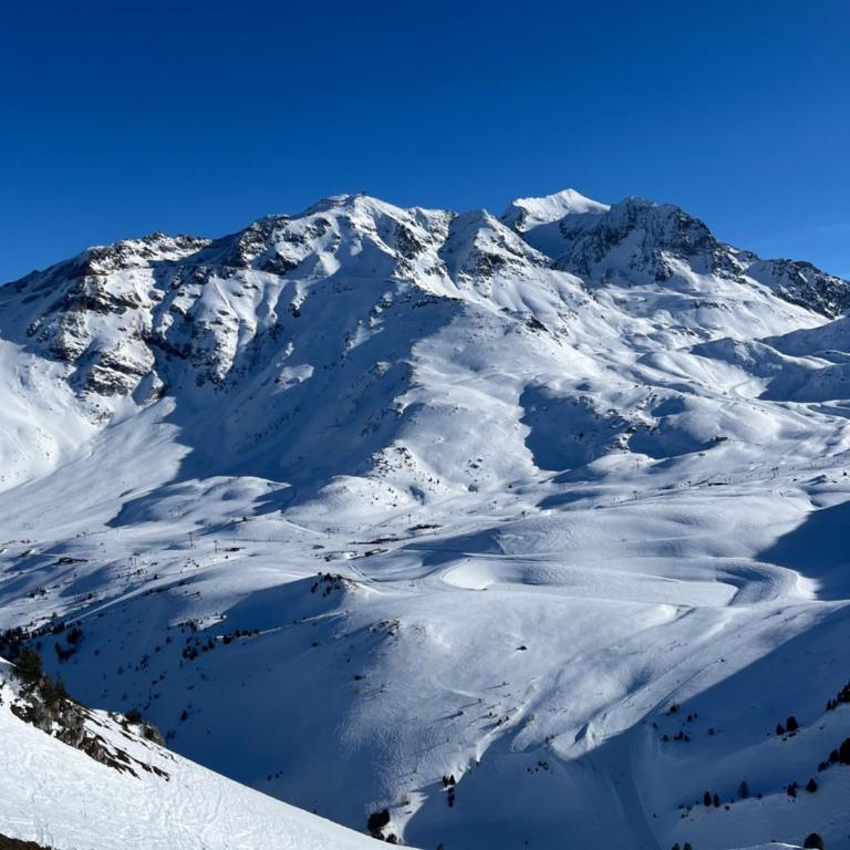 Ski In-Ski Out Luxe Chalet Apartment in Arc 1950 - Newly Renovated - Apartment mit 2 Schlafzimmern - 39