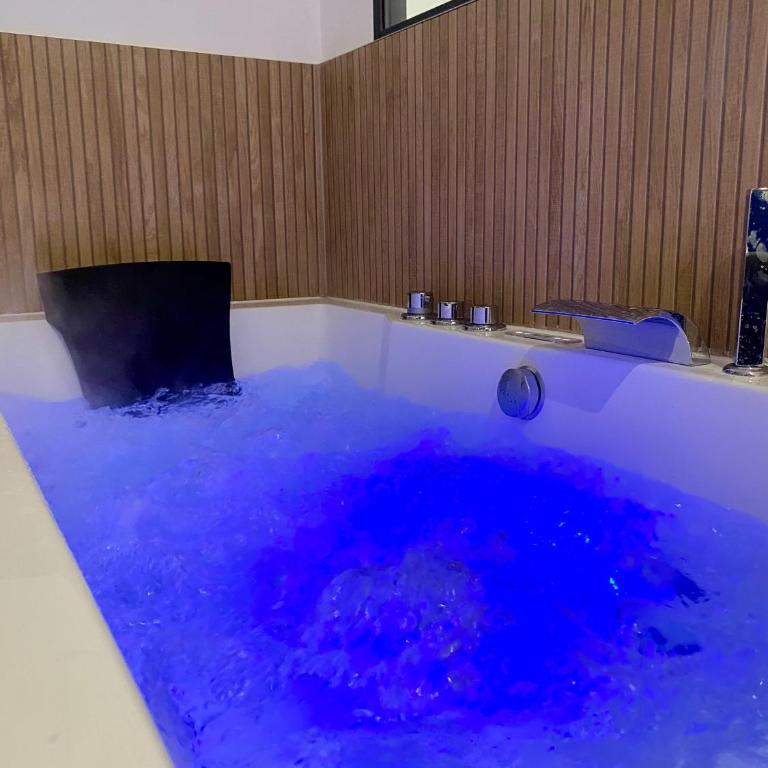 Dijon hyper centre Balnéo Casa Dauphine - One-Bedroom Apartment - 20
