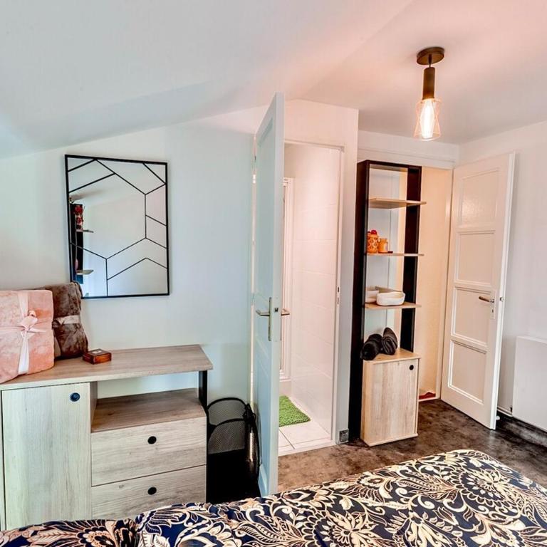 Le Zen I T2 - Appartement 1 Chambre - 9