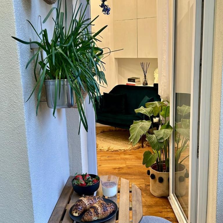 Magnolia 84 Apartment - One-Bedroom Apartment with Terrace - 16
