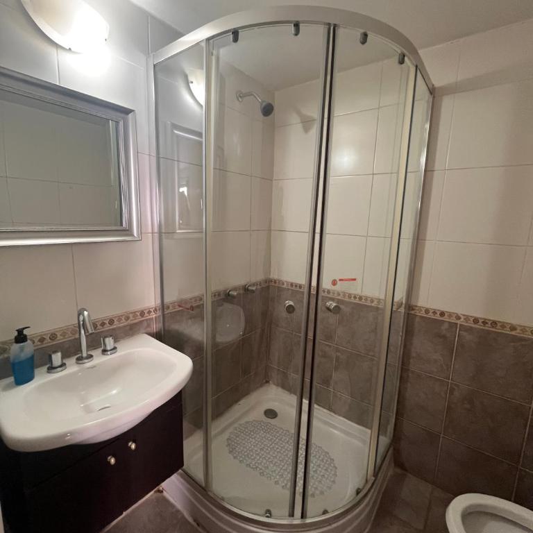 Departamento Céntrico en Pleno Corazón de la Ciudad de Mendoza - Pellegrini Apartments Centro 3 - Estudio con cama extragrande y sofá cama - 21