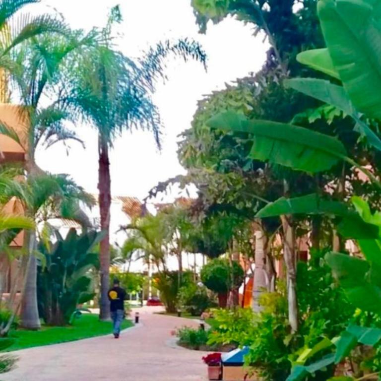 MARBELLA - ALICATE BEACHFRONT Apartment- 8 - Two-Bedroom Apartment - 18