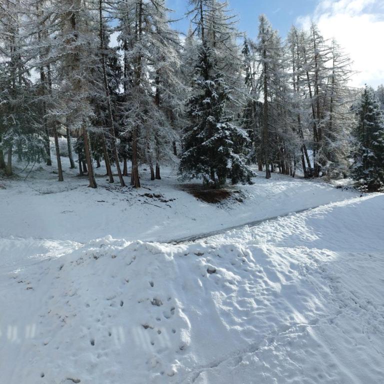 La Plagne Les Coches studio divisible ensoleillé - Apartment mit 2 Schlafzimmern - 2