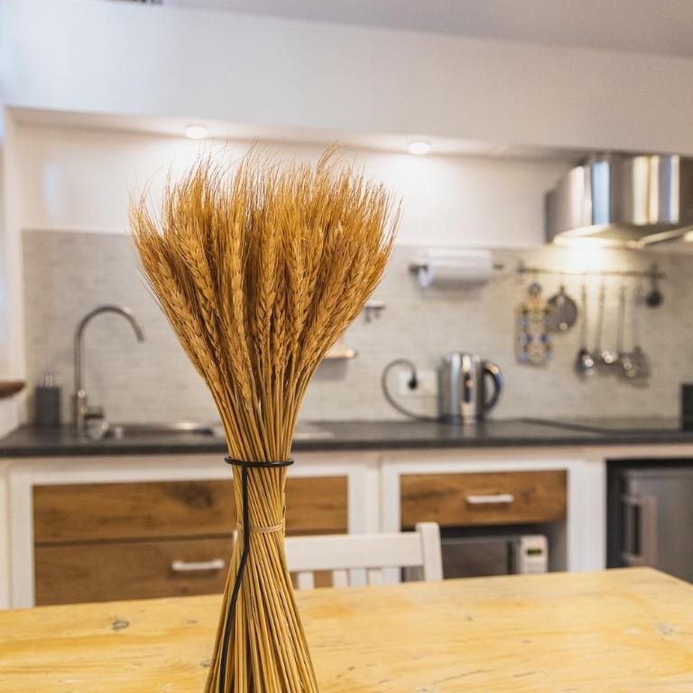 Sofia a Montepulciano - Appartamento con 1 Camera da Letto - 38