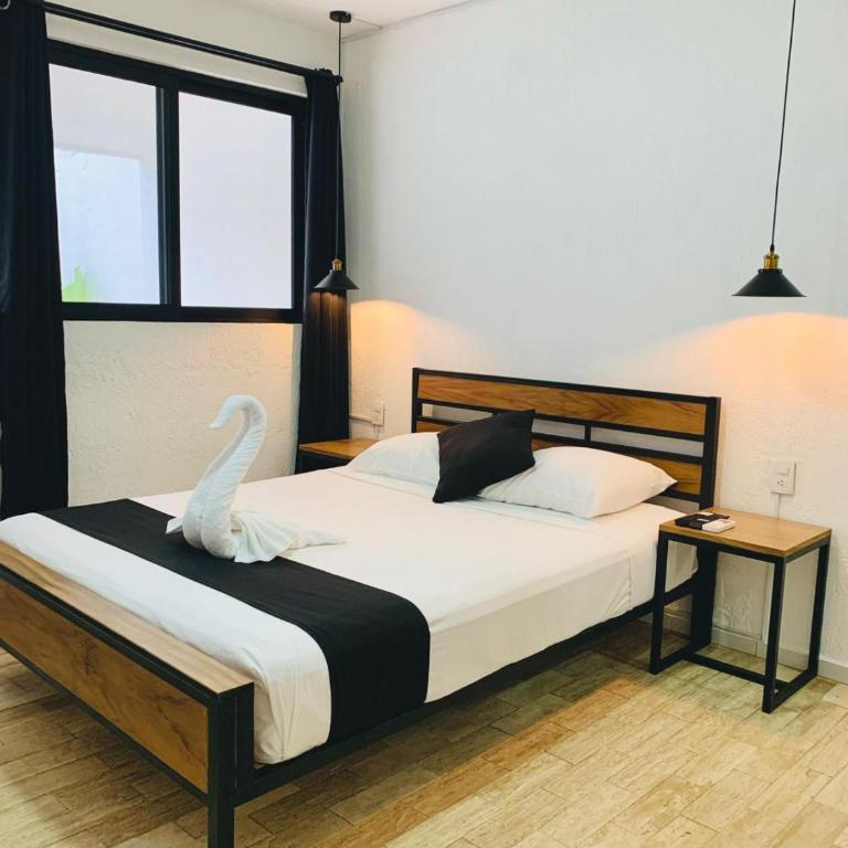 Casa Maca - Suite Junior Deluxe - 22